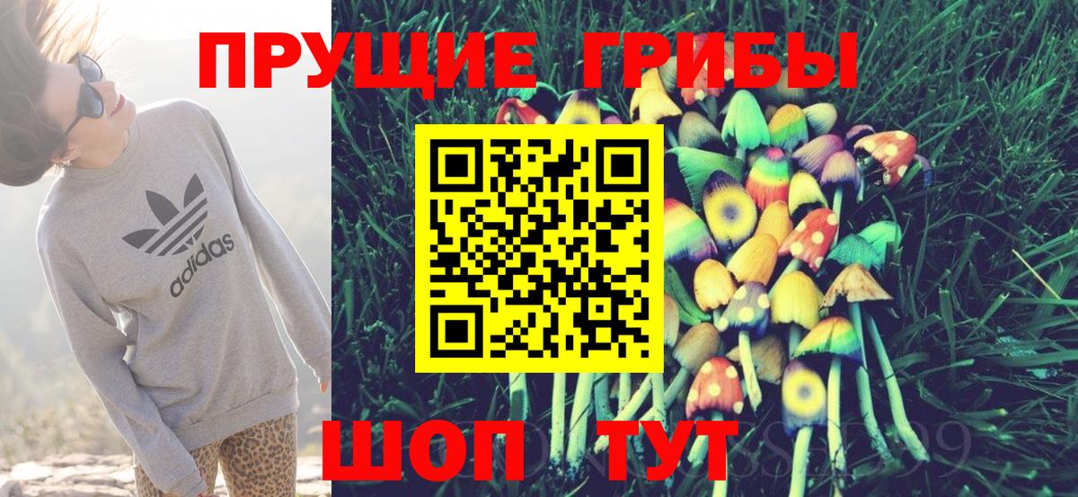 хочу   Вход с VPN  Тулун  Галлюциногенные грибы мицелий 