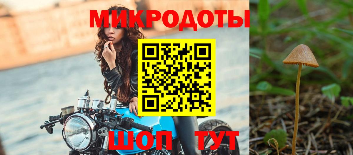 Галлюциногенные грибы Psilocybine cubensis Тулун